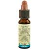Laboratorio Erboristico di Leo - Chicory 10 ml