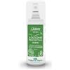 PRODECO PHARMA Srl LEDUM THE WALL LOZIONE PROTETTIVA FORTE 100 ML
