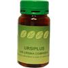 SPAZIO VERDE ITALIA Srl Ursiplus 60cps
