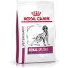 Royal Canin Veterinary Renal Special per cane 2 x 2 kg