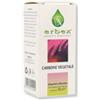 ERBEX CARBONE VEGETALE 60 COMPRESSE