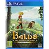 Pix 'n Love Games Baldo The Guardian Owls