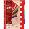 Exacompta 4906E Divisori e Segnaletica, 21x29.7 cm, Multicolore