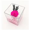 Ars Nova Cubo fondo pietra con rosa baccara cm 10x10 - fucsia