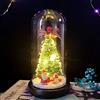 HOWEIFULL Albero di Natale con Luci Incorporate, Albero di Natale Piccolo in Casa di vetro Miniatura per la decorazione della tavola di Natale, Miglior regalo