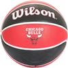 Wilson nba team tribute bulls