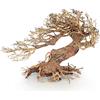 Amtra Legno Oriental Wind 3 taglia M, decorazione in legno per acquario fatto a mano, tronco naturale ornamentale, accessorio arredo decorativo, 30x13x23 cm