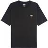 Dickies Ss Mapleton T-Shirt Black T-Shirt M/M Nera Logo Piccolo Uomo