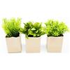 HEITMANN DECO Pianta Artificiale, Verde/Marrone, Set di 3, 10 x 10 x 15 cm