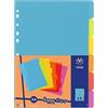 Viquel - Set di 6 divisori in plastica, formato A4 (21 x 29,7 cm), per raccoglitore A4, colore fluo