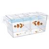 Pawfly Acquario Box per Allevamento Pesci Incubatrice Acrilica Serbatoio con Ventose Grande Box di Isolamento per Avannotti Gamberetti Betta Guppy e Platy