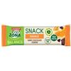 ENERVIT SpA ENERZONA SNACK ORANGE 33G