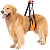 Avont Imbracatura per sollevamento cani, supporto per zampe posteriori di cani di taglia grande, aiuto per il sollevamento con manico e cinghie per displasia dell'anca, imbracatura di supporto per