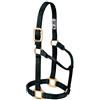 Weaver Equine Weaver Leather Original - Cavezza non regolabile in nylon, per pony o puledro, nero