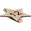 Rayher Cifre Calendario Stelle 1-24 su Molletta, Colori Misti, 4.5cm, Bus Blis 1 Set, 46659999