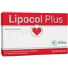 Anvest health srl Lipocol Plus Integratore Per Il Colesterolo 30 Compresse