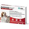 MSD ANIMAL HEALTH SRL Panacur Compresse 250 Mg Per Uso Orale Per Cani E Gatti - 250 Mg Compresse Per Cani E Gatti 10 Compresse