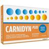 ALFASIGMA Carnidyn Plus Integratore Energetico Con Carnitina 20 Bustine