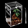 RAKUTE Terrario in Acrilico, 360° Trasparente Scatola di Alimentazione per Rettili con Pinzette, Staccabile Mini Terrario per Spide Lucertola Scorpion Centopiedi Rana Cornuta(20x12x12cm)