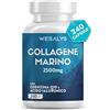 WESALYS COLLAGENE MARINO con Acido ialuronico - 240 Capsule - 2500mg di Collagene idrolizzato, Integratore con Biotina, Vitamina C, Coenzima Q10 per Pelle, Capelli e Articolazioni