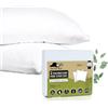 Beddy-Bye Federe Cuscino Letto Impermeabile Tencel™ 40x70 cm (confezione da 2) - Copricuscino con Chiusura a Zip - Certificato Oeko-Tex® in Aegis® Fibra Ecologica - Prodotto in UE