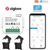 Tuya Misuratore di Energia Bidirezionale Smart ZigBee con Pinza