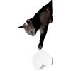 Karman Maoo AP312AN INT antracite lampada da parete