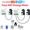 Tuya Misuratore di Energia Bidirezionale Smart WiFi con Pinza