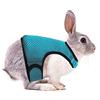 Pettorina regolabile per animali domestici, per criceti, criceti, conigli,  guinzagli con cintura elastica - Ecopool Service