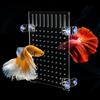 bangminda Divisori per Acquario in Acrilico Separatore per Acquario con Ventose Piatto Separatore di Pesce Trasparente per Acquari 30 x 25 cm
