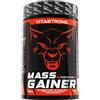 Vitastrong. Vitastrong Mass Gainer, Proteine e Carboidrati in Polvere, Gusto Cioccolato | 900g di Proteine in Polvere con Maltodestrine, Ciclodestrine Altamente Ramificate (Cluster Dextrin®), Creatina Monoidrata