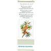 Vegetal Progress NERVOLIO 50 ML
