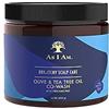 As I Am Secco & Prurito Scala Cowash 16 Fl Oz (confezione da 2)