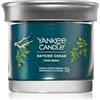 Yankee Candle Bayside Cedar 122 g