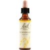 Hornbeam Bach Orig 20Ml 20 ml Gocce orali