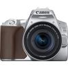 Canon EOS 250D + EF-S 18-55mm f/4-5.6 IS STM Kit fotocamere SLR 24,1 MP CMOS 6000 x 4000 Pixel Argento