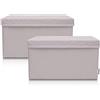 LIFENEY Set di 2 contenitori per bambini (37 x 25 x 21 cm), cestino portaoggetti per cameretta dei bambini (grigio chiaro)