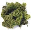 Rayher Muschio Islandese, Verde Chiaro, Busta 1 kg, 8500311