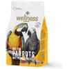 PADOVAN Wellness Mix Pappagalli 750G