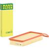 Mann Filter MANN-FILTER C 3087/2 Filtro dell'aria - per Autovetture + veicoli commeriali