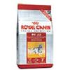 Royal Canin FELINE HEALTH NUTRITION REGULAR FIT 2 KG