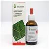 Arcangea CENTELLA SOLUZIONE ALCOLICA 50 ML