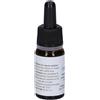 Alkaest QUINTESSENZA QE14 ORIGANO 10ML