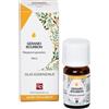 Fitomedical GERANIO BOURBON OLIO ESSENZIALE 5 ML