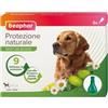 Beaphar PROTEZIONE NAT SPOT ON CANE TG 6 PIPETTE DA 2 ML