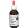 Arcangea TILIA TOMENTOSA GEMMODERIVATO 33 BIO 100 ML