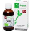 Fitomedical ONTANO NERO MACERATO GLICERICO 50 ML BIO