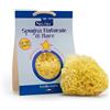Fitobucaneve BABY NEUTRA SPUGNA NATURALE DI MARE 12/48 MESI