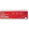 Pest-Stop Procter Pest-Stop Procter Bros Ltd Deterrenti per Uccelli Professionale con Chiodi