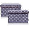LIFENEY Set di 2 contenitori per bambini (37 x 25 x 21 cm), cestino portaoggetti per cameretta dei bambini e salotti (grigio scuro)
